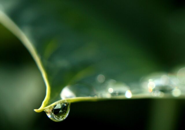088-089-IMG_9654