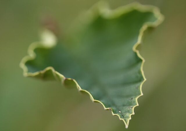 detail-sluzby-03