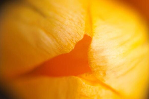 detaily-omne-02